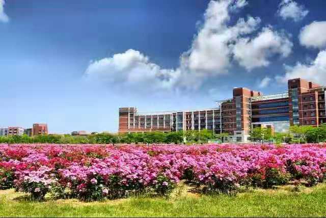 bwin·必赢(中国区)官方网站-officialswebsi