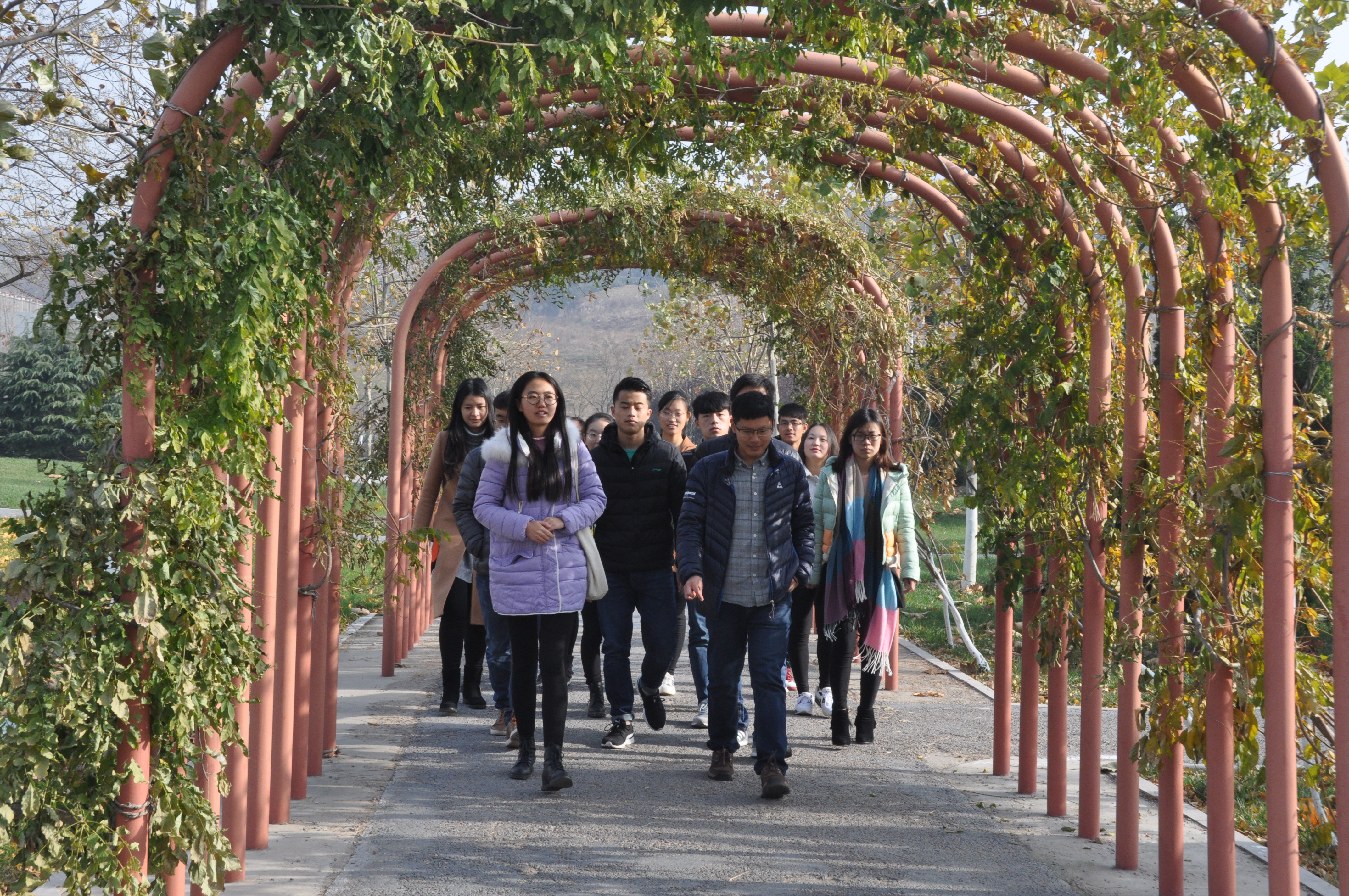 bwin·必赢(中国区)官方网站-officialswebsi