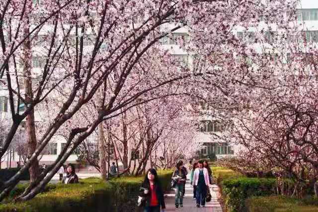 bwin·必赢(中国区)官方网站-officialswebsi