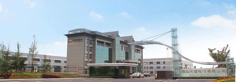 bwin·必赢(中国区)官方网站-officialswebsi