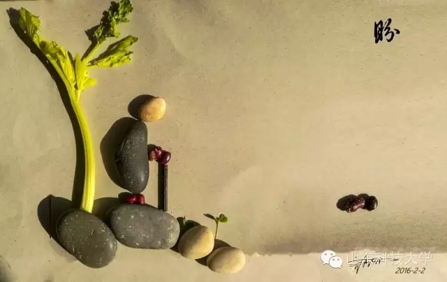 bwin·必赢(中国区)官方网站-officialswebsi