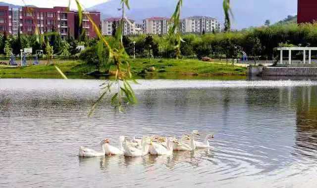 bwin·必赢(中国区)官方网站-officialswebsi