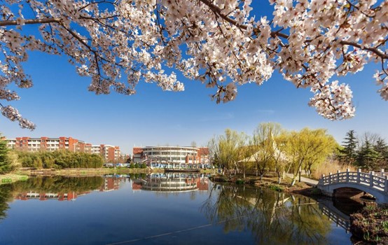 bwin·必赢(中国区)官方网站-officialswebsi