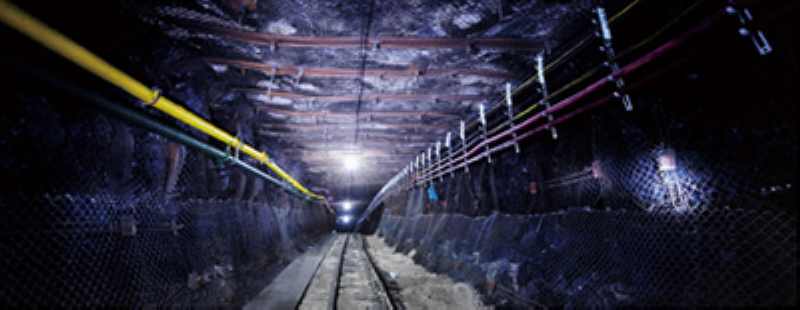 bwin·必赢(中国区)官方网站-officialswebsi